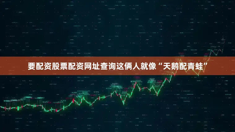 要配资股票配资网址查询这俩人就像“天鹅配青蛙”