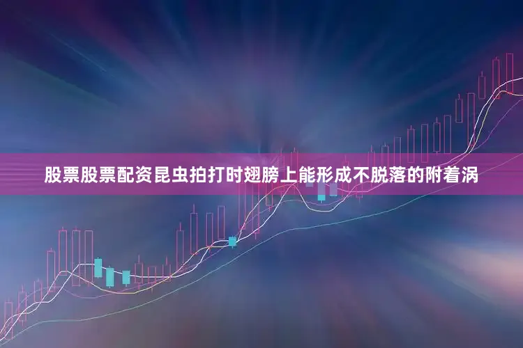 股票股票配资昆虫拍打时翅膀上能形成不脱落的附着涡