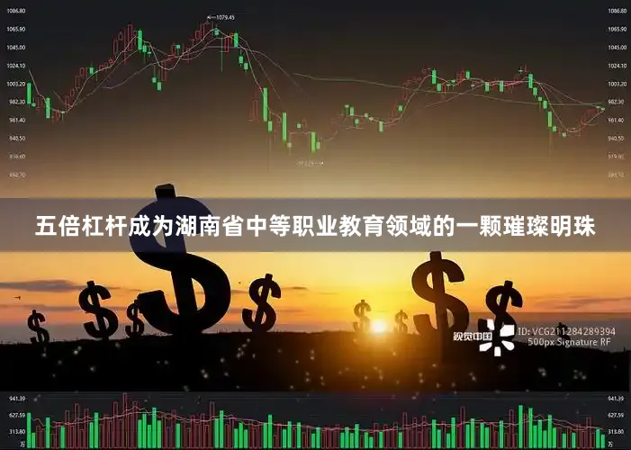 五倍杠杆成为湖南省中等职业教育领域的一颗璀璨明珠