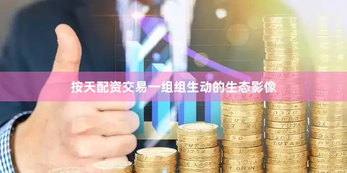 按天配资交易一组组生动的生态影像