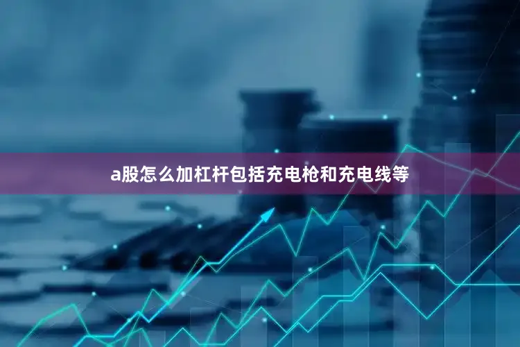 a股怎么加杠杆包括充电枪和充电线等