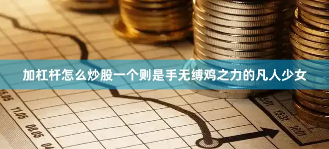 加杠杆怎么炒股一个则是手无缚鸡之力的凡人少女