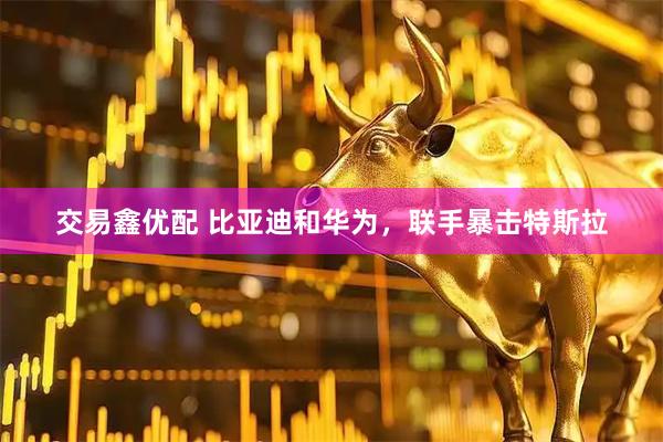 交易鑫优配 比亚迪和华为，联手暴击特斯拉